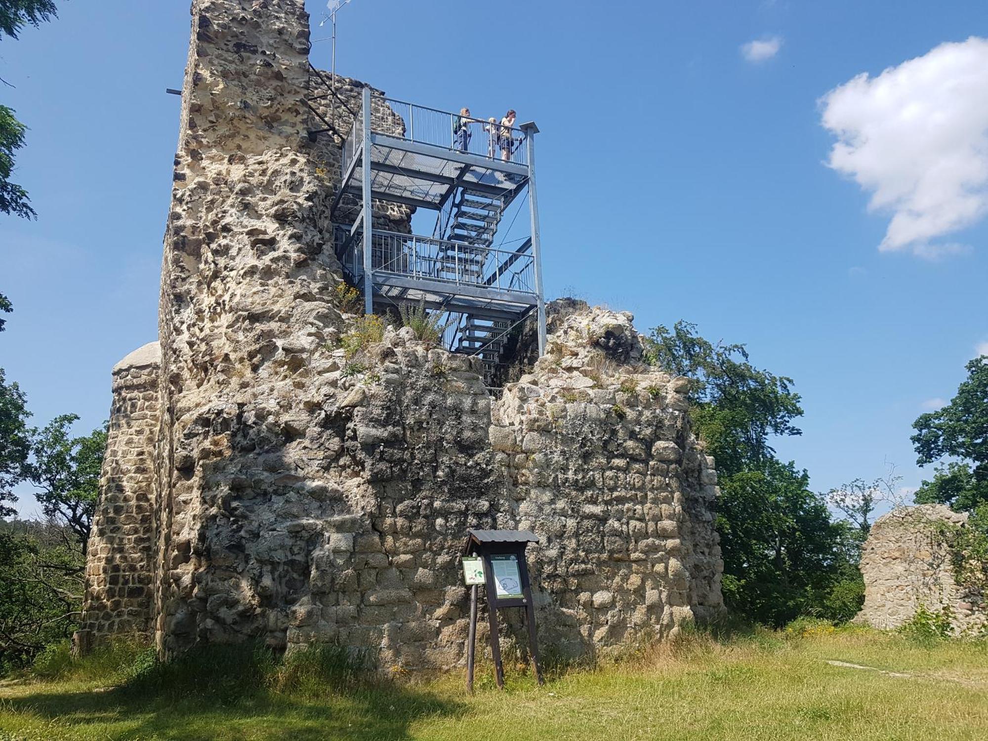 Ferienhaus Renate 7 Thale Exteriör bild